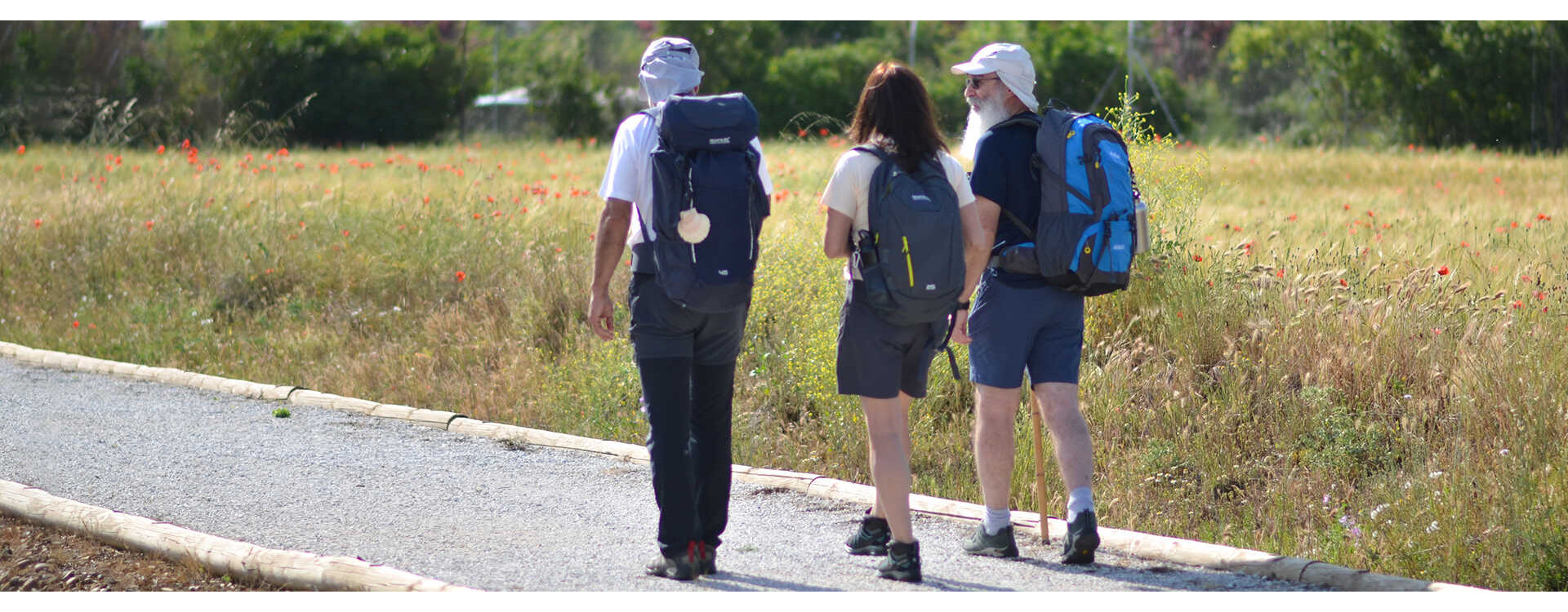 Camino de Santiago para principiantes