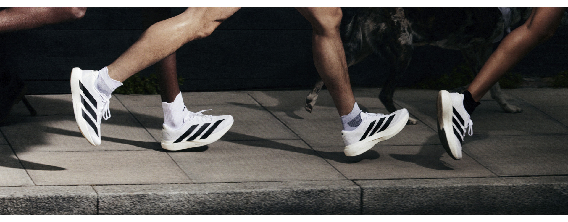 Adidas Adizero Evo SL